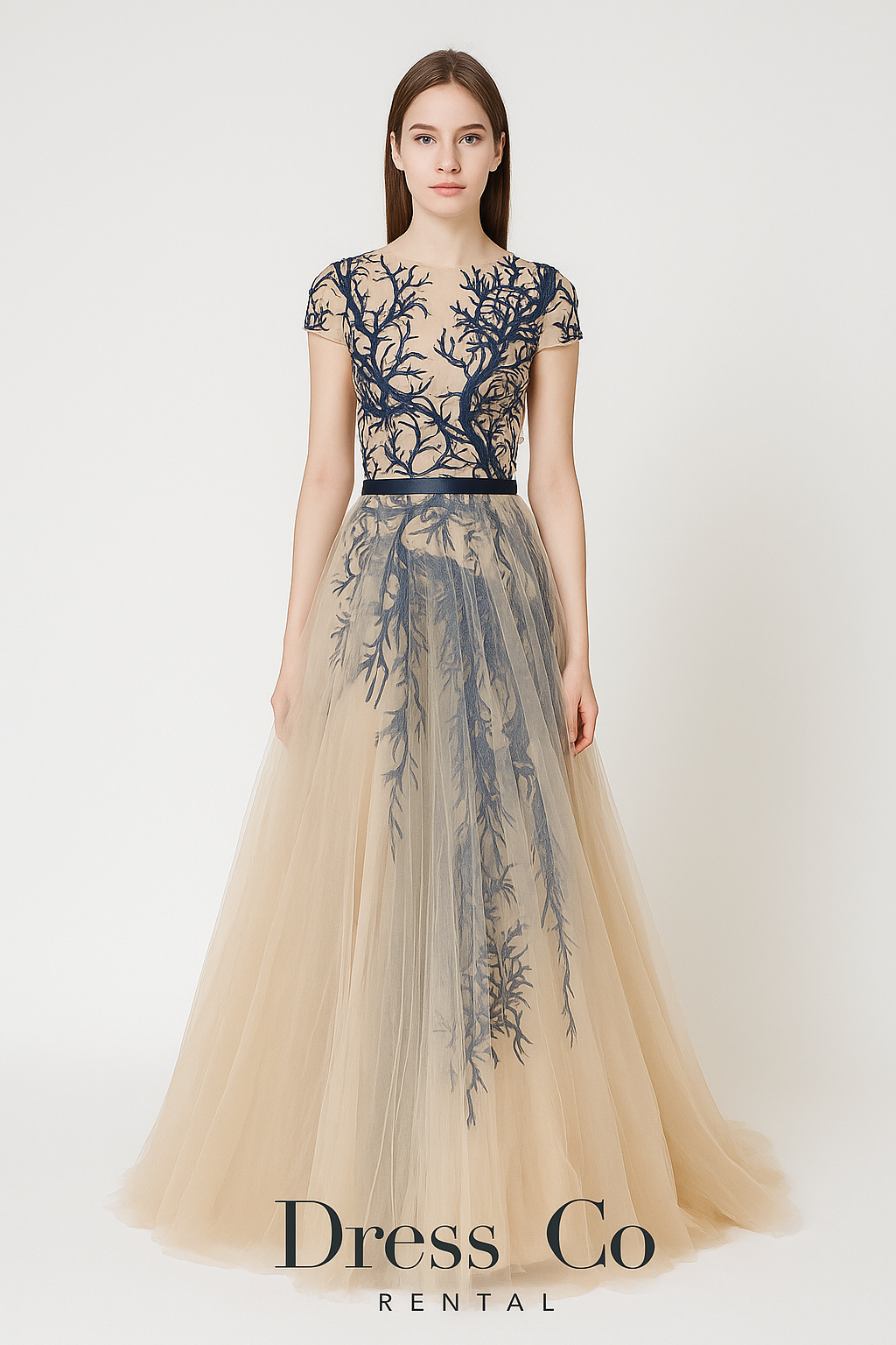Sheer Blue Embroidered Tulle Dress / Sheer blue embroidered tulle dress
