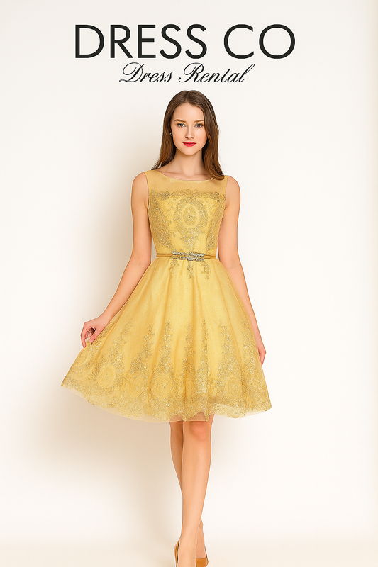 เดรสครีมทอง ปักลายหรู แขนกุด ทรงเอไลน์/Gold Cream Sleeveless Embroidered A-Line Dress